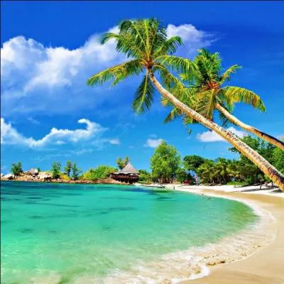 Comment s'appelle la mère de Liv et Maddie ?