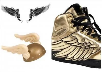 Qu'offre-t-il à Percy avant sa quête pour l'éclair primitif ?