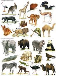 Quiz Animaux