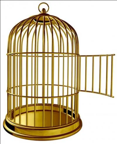 Vous devez trouver en moins de 60 secondes chrono...