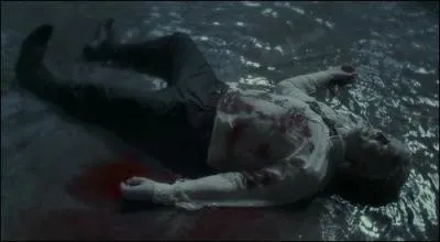 Sectumsempra est un sortilège très dangereux, il crée de profondes entailles sur le corps de la personne visée, si la personne n'est pas soignée à temps, elle peut se vider de son sang. Qui inflige un Sectum Sempra à Drago Malefoy dans le film Harry Potter et le Prince de Sang-Mélé ?