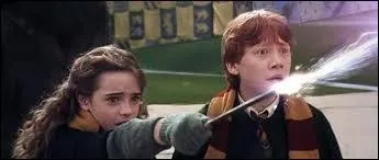 Sur l'image, Hermione utilise le sortilège Finite Incantatem, sortilège qui neutralise tous les sortilèges en activité dans un lieu donné. Contre quel objet envouté, contrôlé par l'elfe Dobby invoque-t-elle ce sortilège ?