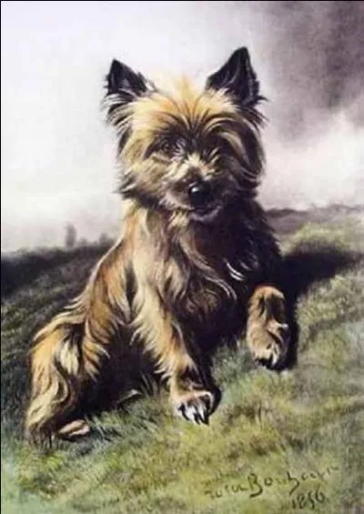 Quelle artiste peintre, née à Bordeaux, a peint beaucoup de scènes animalières, et notamment "Le chien favori" ?