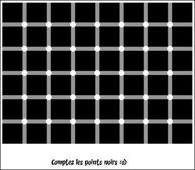 Combien de points noirs voyez-vous ?