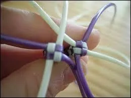 Si vous êtes habile de vos dix doigts, vous pouvez toujours tresser...