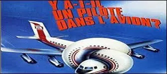 Comment s'appelle la suite du film "Y a-il un pilote dans l'avion" ?