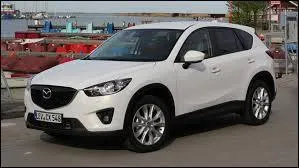 Ce modèle est un ...