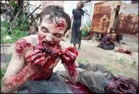 Autre possibilité : un rituel de magie noire, les effets nocifs de produits toxiques, des essais militaires ou encore un organisme alien belliqueux peuvent faire sortir les morts de leurs tombes. Ces derniers devenant ainsi des êtres sans âme et obnubilés par la recherche de chair fraîche. Lequel de ces termes ne correspond pas à ce nouvel état ?