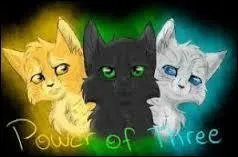 Qui a une ouïe surdéveloppée ?