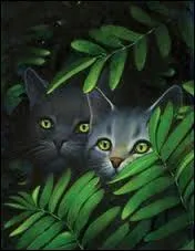 Qui sont les mentors de Nuage de Lis et Nuage de Colombe ?