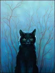 Qui des deux jeunes chattes est entraînée par Plume de Faucon dans la forêt sombre ?