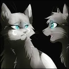 Quels seront les noms de guerrières des apprenties ?