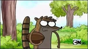Quel est le surnom de Rigby ?