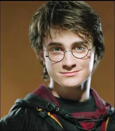 Qui interprète Harry dans la grande saga de Harry Potter ?