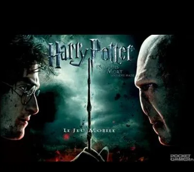 Qui meurt à la fin de Harry Potter et les reliques de la mort : partie 2 ?