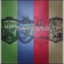 Hormis leur maison respective, quels personnages ont failli aller dans une autre maison ?