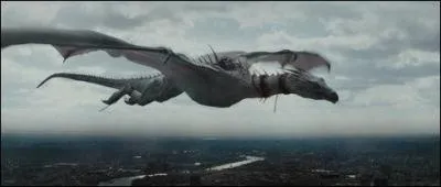Libéré, le dragon s'envole en provoquant des dégâts matériels dans la banque de Gringotts avant de s'enfuir en transperçant le plafond de la banque. Il se retrouve sur le Chemin de Traverse et part dans une direction inconnue. Dans quelle condition le trio de sorciers décide-t-il de sauter du dos du dragon ?