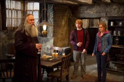 Par conséquent, Harry Potter, Ron Weasley et Hermione Granger choisissent de se rendre à Poudlard via Pré-au-Lard. Leur décision donnera lieu à la Bataille de Poudlard puisque Lord Voldemort sait qu'il doit aussi s'y rendre obligatoirement. Harry Potter et ses amis seront aidés par Abelforth Dumbledore. Quelle est l'auberge qu'il dirige ?
