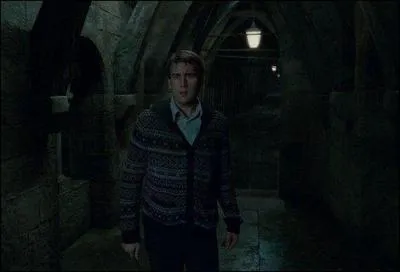 Abelforth Dumbledore conseille à Harry Potter d'abandonner sa mission. Il lui dévoile néanmoins un passage secret pour rejoindre la Salle Sur Demande. Quel(le) élève apparaît alors ?