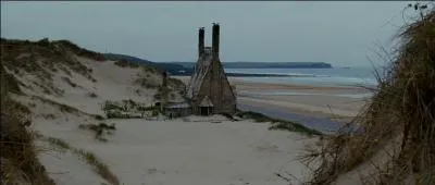 Harry Potter et tous ses amis sont donc sains et saufs. Mais dans quel endroit se trouvent-ils à présent avant qu'ils ne décident de reprendre finalement leur chasse aux horcruxes ?