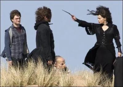 Nous sommes au matin du 1er mai 1998. Le trio s'apprête à mettre son plan à exécution. Hermione Granger utilise le Polynectar pour prendre l'apparence de Bellatrix Lestrange. Qu'utilise-t-elle pour se tranformer en Bellatrix Lestrange ?