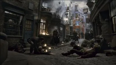 Pendant ce temps, Ron Weasley prend l'apparence de Dragomir Despard, un sorcier étranger et Harry Potter se cache sous sa Cape d'Invisibilité avec Gripsec. Ils transplanent tous pour se retrouver sur le Chemin de Traverse. Quel Mangemort adresse la parole à Hermione Granger (Bellatrix Lestrange) ?