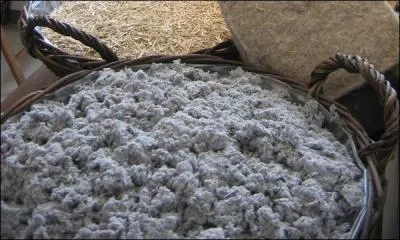 Ca ne devrait pas être trop coton de trouver la chanson : Paresseuse. Par essence elle est paresseuse !