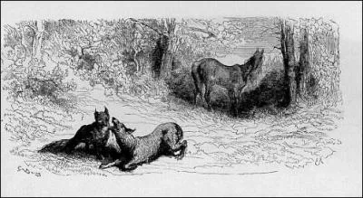 Trouvez le titre de cette chanson : C'est dans quatre ans, je m'en irai --- J'entends le loup et le renard chanter !