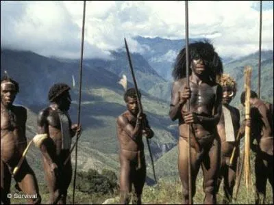 Reculons de quelques décennies pour trouver l'interprète : Tu être jolie beaucoup -- Moi être zinzin de ta fantaisie -- Tu rendre moi fou de vous !