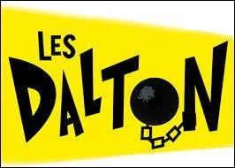Quelles sont les couleurs des vêtements des frères Daltons ?
