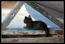 Donnez-moi la définition d'un triangle scalène.