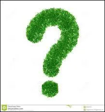 Quelle équipe de football peut-on associer au stade Geoffroy Guichard ?