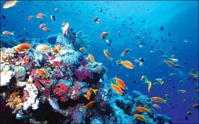 Comment s'appelle le détroit qui sépare l'Afrique de l'Espagne ?