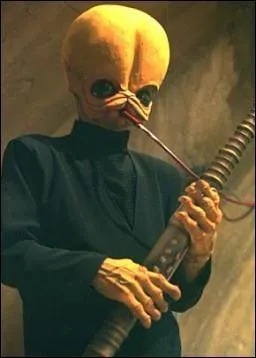 Combien y a -t-il de musiciens dans la cantina ?