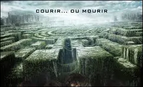 Quand Thomas se retrouve prisonnier dans le labyrinthe avec Minho et Alby, que dit Minho à Thomas ?