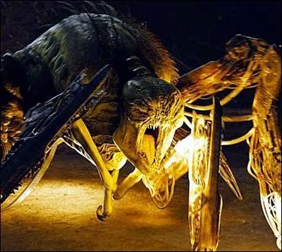 Comment s'appellent les créatures du labyrinthe ?