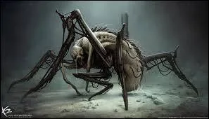 Quel est le code pour s'enfuir de labyrinthe ?