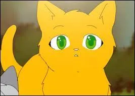 Voilà, j'espère que ça vous a plu mais ce n'est pas fini, il y a une dernière question. 
Cur de Feu meurt-il dans le cycle 1 ?