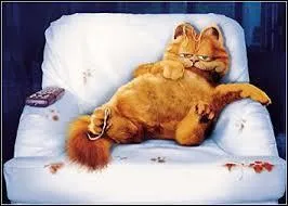 Cœur de Feu aime-t-il le chocolat ? 
(Attention, c'est la question la plus facile ! )