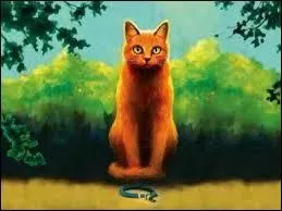 Ce quiz, il est long à faire ! Bon alors, Cur de Feu devient-il chef ?