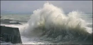 Comment appelle-t-on le mouvement produit par la houle sur les parois du port ?