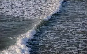 Dans la mer Méditerranée, l'eau est salée à ... %.