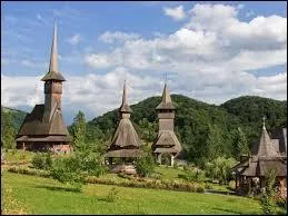 Lequel de ces pays n'est pas bordé par la mer Noire ?