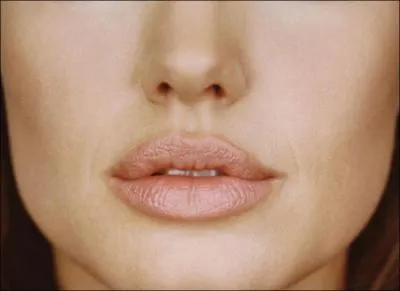 L'empreinte du doigt de l'ange, que c'est beau. Mais quel est le vrai nom de ce creux en dessous de notre nez ?