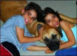 Son chien est-il un mâle ou une femelle ?