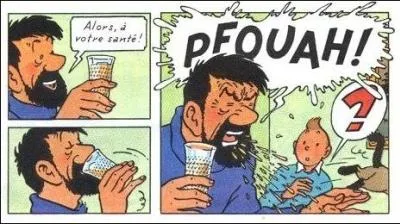 "Les toits lourds couverts de bardeaux projettent en avant leur carapace épaisse et garantissent, autant que faire se peut, des pluies fréquentes." Quelle est la signification de "bardeau" ?