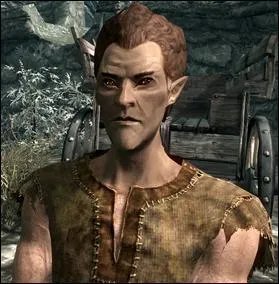 Quel est le nom donné aux elfes des bois ?