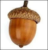 Imbécile et fainéant.