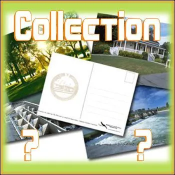 La chionosphéréphilie est une collection :