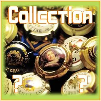 La copocléphilie est une collection :